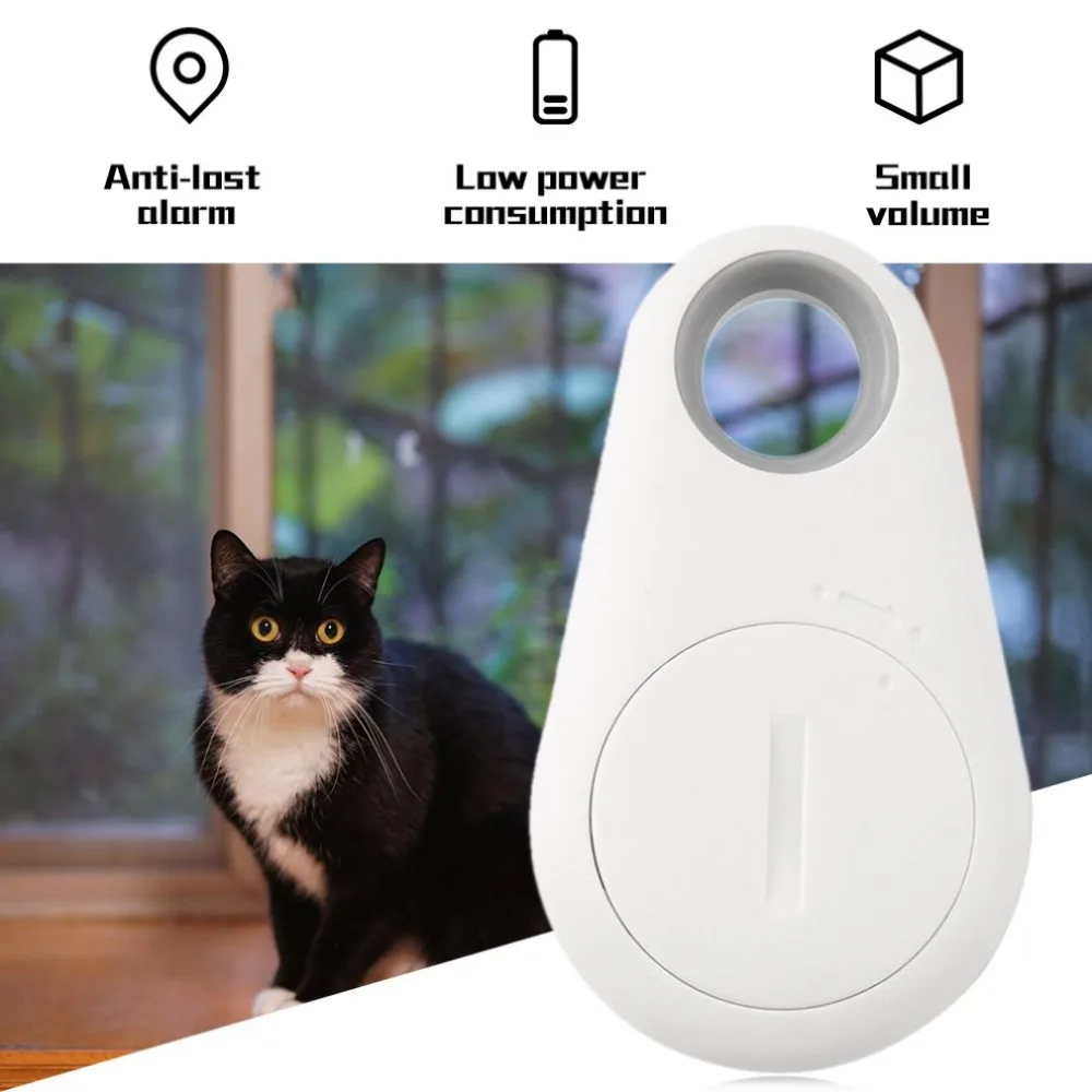 ZC59903-C-20190629-1