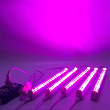 

LED Plant Growth Lights Flower Greenhouses Lighting US Plug Purple Light
