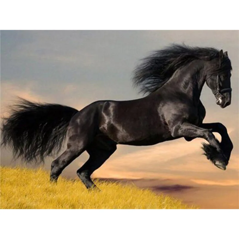 5D алмазная Картина лошадь полная круглая картинка с животными для вышивки со стразами Сделай Сам мозаика Стразы наборы для вышивки крестиком настенный домашний декор - Цвет: 12