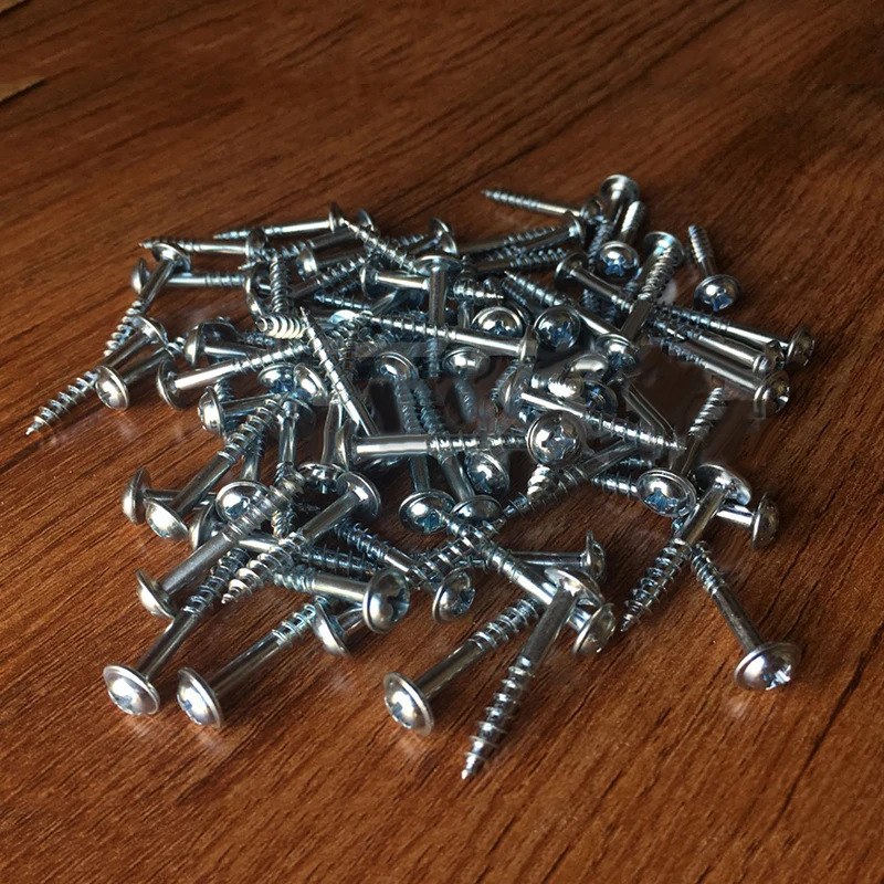 

Lindsie Box - 100Pcs/Bag M4-25 High Strength Oblique Hole Self-tapping Screws