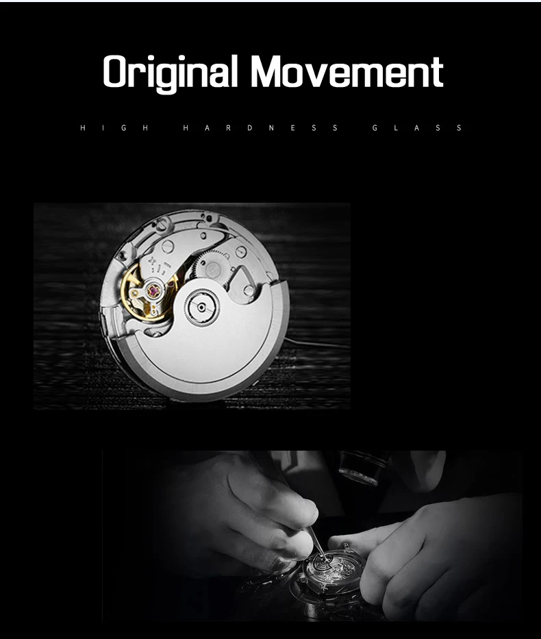 PAGANI DESIGN Luxury Brand Men Watch Automatic Mechanical Men Watches Waterproof Stainless Steel Watch For Men Relogio Masculino