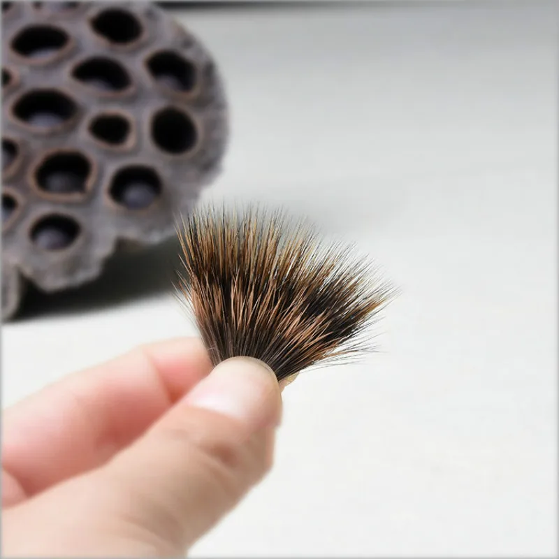 Caligrafia �߱��� �귯�� �� ���� �Ϲ� ��ũ��Ʈ �䳢 �Ӹ� ���� �귯��, �߱��� ������ �׸� �귯�� Tinta �߱�