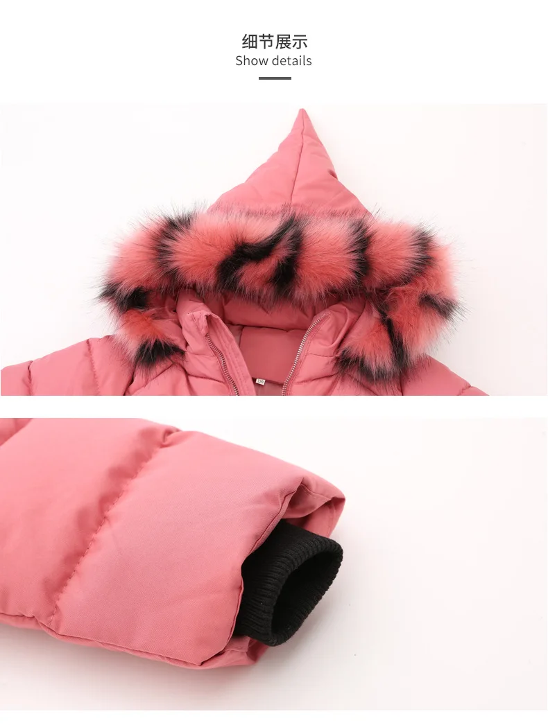 12300106704_132855122