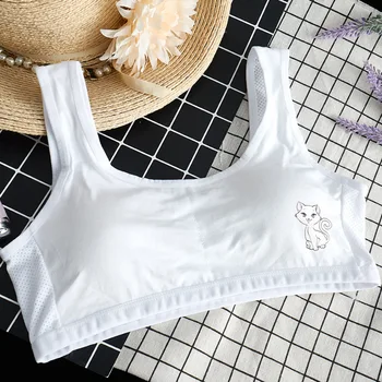 

Development Period GIRL'S Underwear Students Bra Cotton Underwear Girls Small Vest Non-Steel Ring Printed High Quality Comfortab