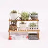 Mini Desktop Nan Bamboo Indoor Office Window Sill Multi-layer Shelf Decoration Balcony Potted Plant Stand 3