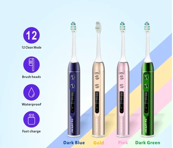 

Aluminum Alloy Rechargeable Sonic Electric Tooth brush with Replacement Toothbrush Heads 12 Modes Washable Whitening Adult IPX7