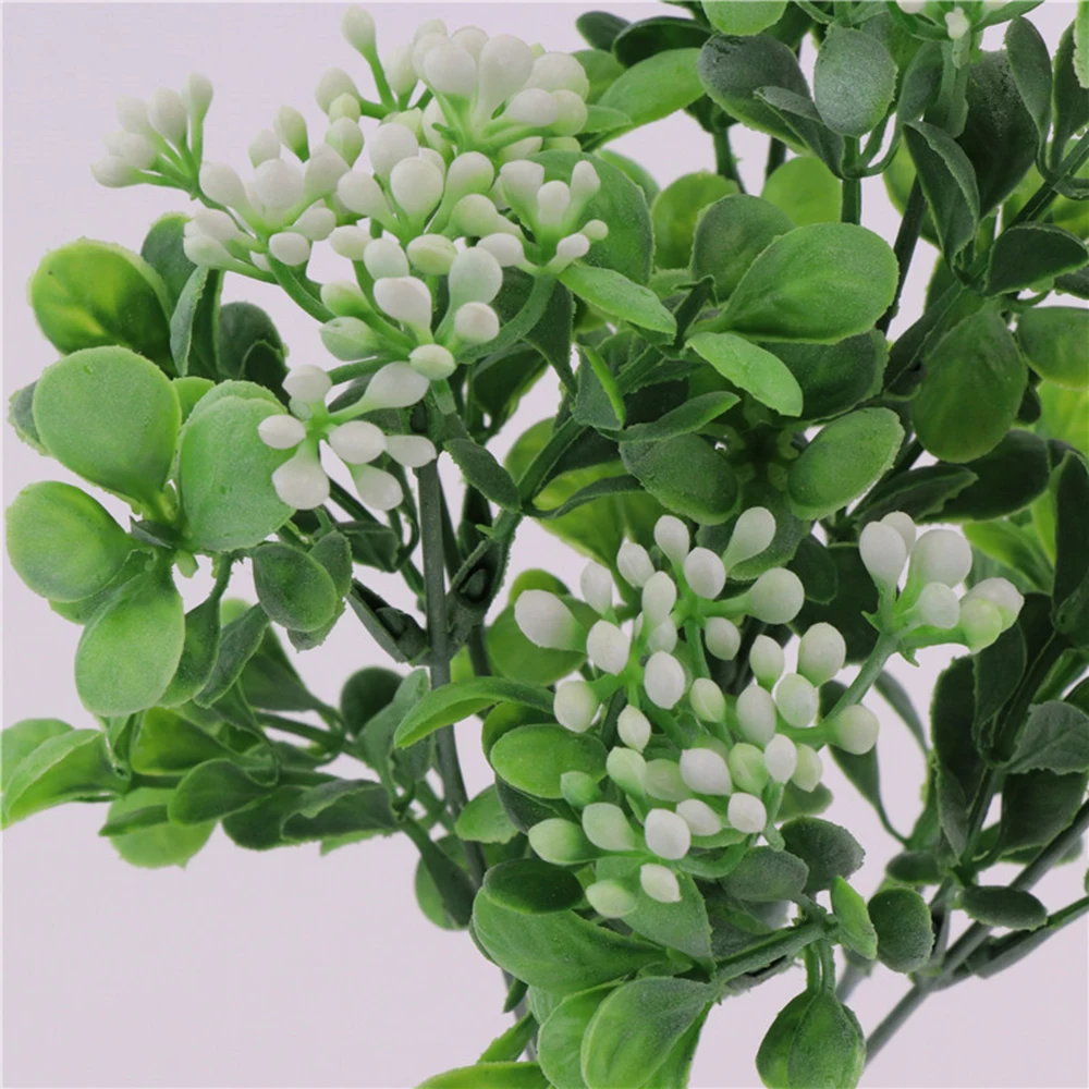 YYPA0052-1-YYPA0052-5-D1