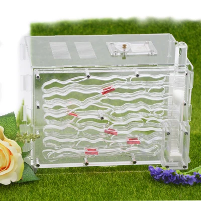 Splicing Akril Sztereó Hidratáló Entitás Fészek Rétegezett Víztorony Nagy Hangya Táplálás - Image 2