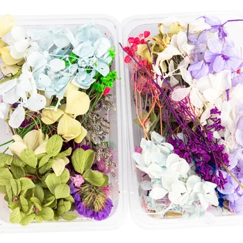 

1 Box Colorful Real Dried Flower Plant For Aromatherapy Candle Epoxy Resin Pendant Necklace Jewelry Making Craft DIY Accessories