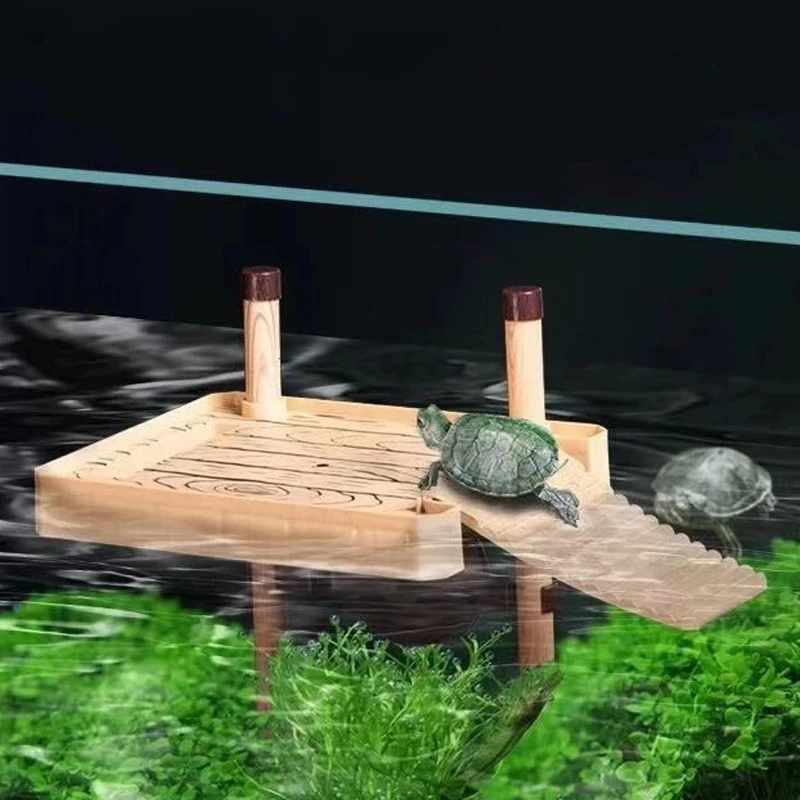 Tortoise terrace Brazilian water turtle Floating island turtle