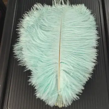 

10pcs Beautiful Mint Green 30-35cm/12-14 inch Natural Ostrich Feathers Wedding Party Christmas Home Craft Accessories Decoration