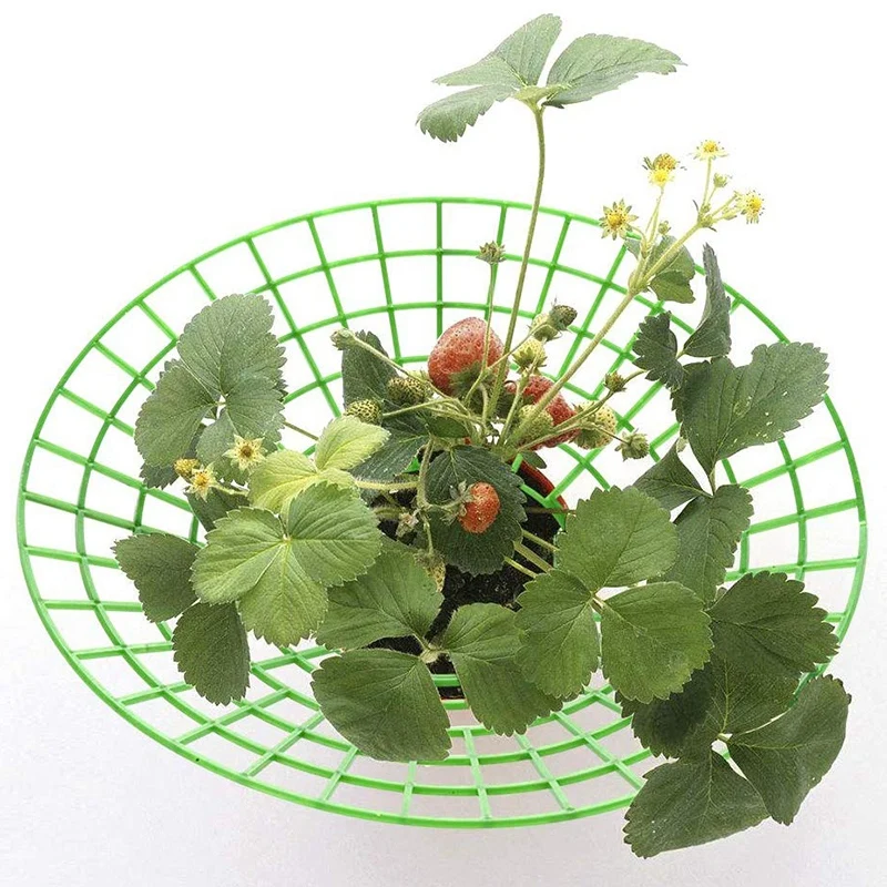 10 шт. подставка для клубники держатель рамка посадка на балконе стойка фруктов