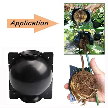 

Efficient Rooting Device Plant Grafting Box Root Device Plant Cutting Rooting Machine