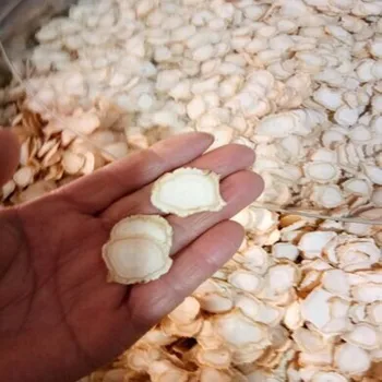 

2020 Hot sale Pure natural good quality American ginseng tablet ginseng Improve immunity and enhance memory