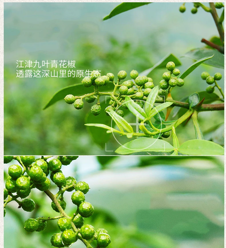 O1CN01jJvN891vcRNqGIziQ_!!4112456193