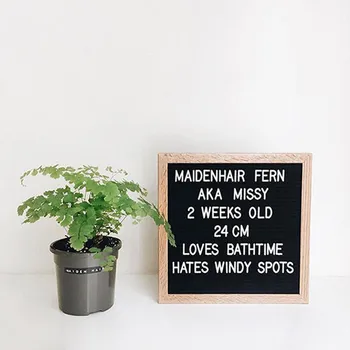 

Wooden Frame Felt Letter Board Changeable Characters message boards with 2 sets characters M6D