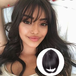Ty.hermenlisa Clip On Bangs Human Hair Extensions Fake Fringe Natural Hair Clip on Hairpieces Light Brown Wigs
