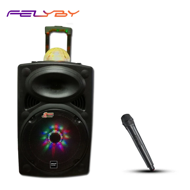 FELYBY 12 дюймовый портативный динамик на колесиках беспроводной Bluetooth аудио