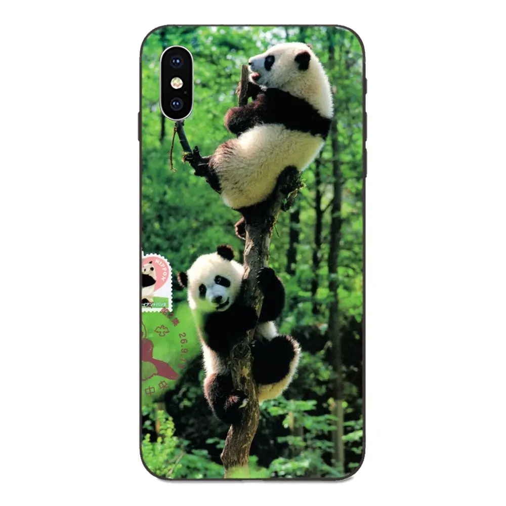 as picture Для Xiaomi Redmi Note 3 3 S 4 4A 4X5 5A 6 6A 7 7A K20 Plus Pro S2 Y2 Y3 мягкий TPU крышка аккумулятора чехол с рисунком панды и милые носки с рисунками зверей из мультфильмов - Цвет: as picture