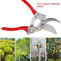 Ciseaux de jardinage, ciseaux de taille, outils à main bonsaï pour ciseaux de jardinage, Machine à découper, débroussailleuse, outil de greffage 