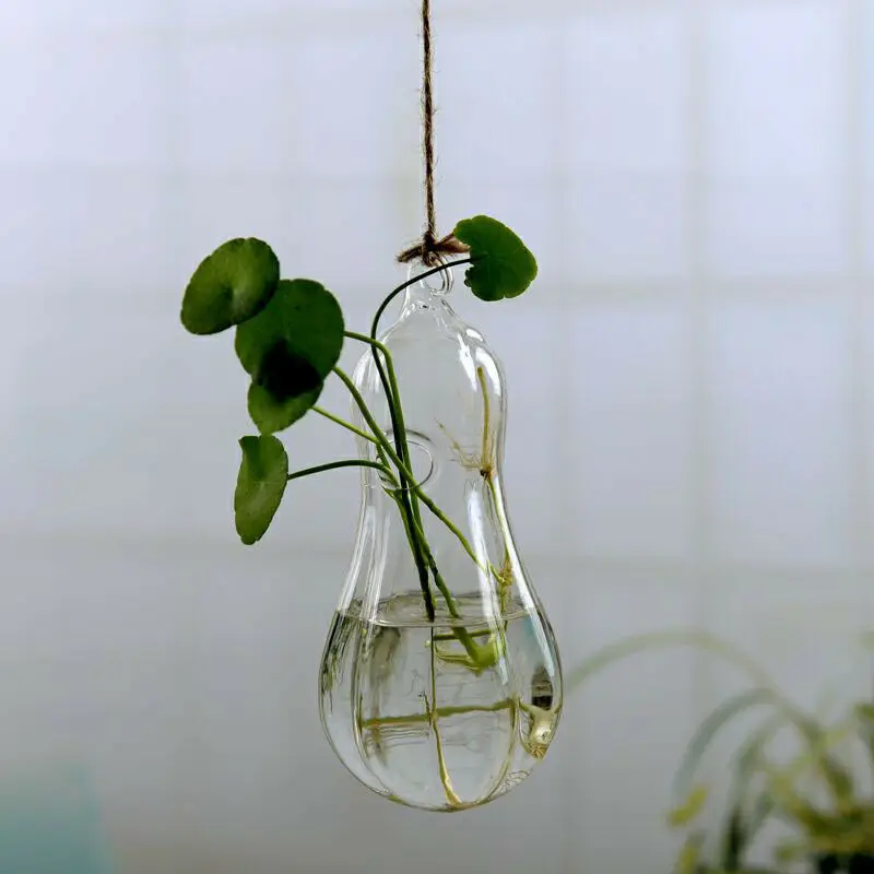 G Creative Wall Hanging Flower Vase Iron Glass Hydroponics Planter Pot Transparent Hanging Flower Bottle Home Ornament Decoration - Цвет: G