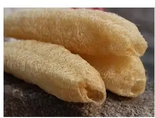 QQ截图20191126095009