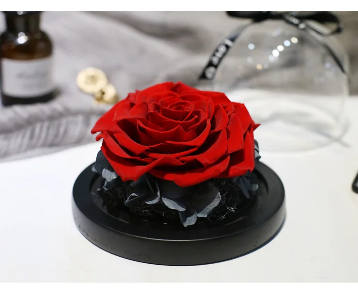 Love Everlasting flower vase Glass cover 05