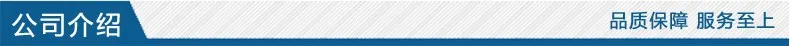 Guangte Manufacturers Direct Selling P-Shape Z Type D-Shaped Sound Insulation Waterproof Dustproof Rubber Strip Automobile Seali