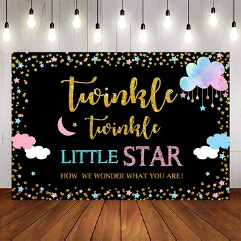 

Gender Reveal Party Backdrop Boy Or Girl Twinkle Twinkle Little Star Photography Background Pink and Blue Gender Surprise Photo