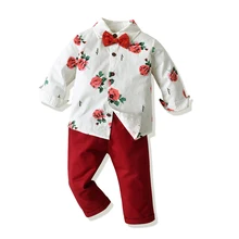 Tem doger/комплекты одежды для мальчиков г. Новая осенняя одежда для маленьких джентльменов рубашки с длинными рукавами+ брюки, комплект из 2 предметов одежда для детей