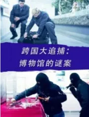 跨国大追捕：博物馆的谜案