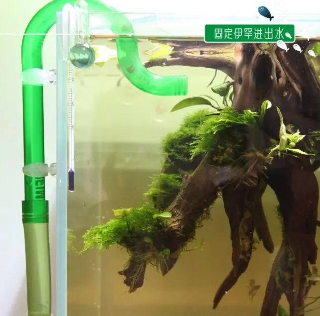 HTB1kssDmaagSKJjy0Fhq6ArbFXao