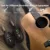 Hot A8 Guitar Wireless System Transmitter Receiver Встроенный Перезаряжаемый Встроенный Перезаряжаемый беспроводной гитарный передатчик