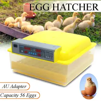 

56 Egg Incubator Automatic Egg Incubator Hatcher Clear Egg Turning Temperature Control Poultry Hatcher Home Brooder Farm Hatcher