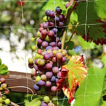 

Garden Plants Climbing Polyester Net Flower Cucumber Vine Grow Netting Support Household Garden Planting Elements