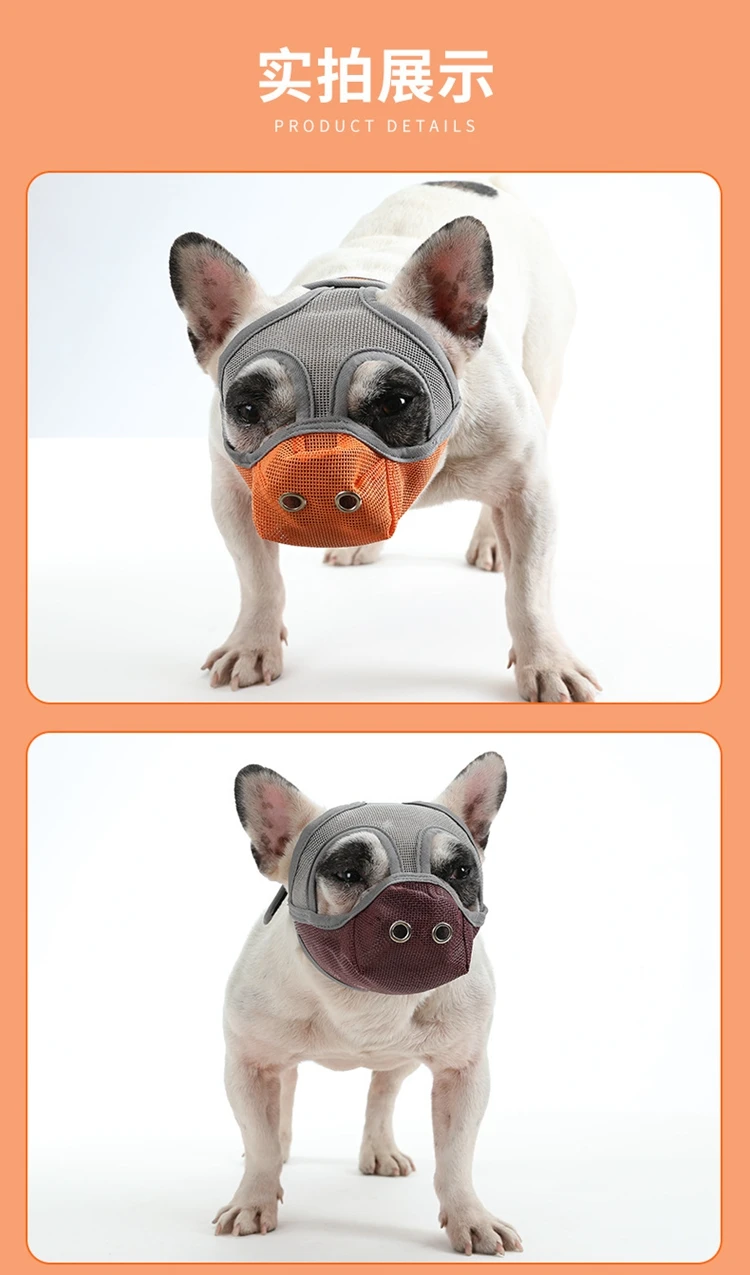 17 - 21302088709_20982621