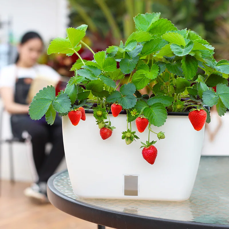 Горшок для выращивания горшок овощей клубники в горшке пластиковый