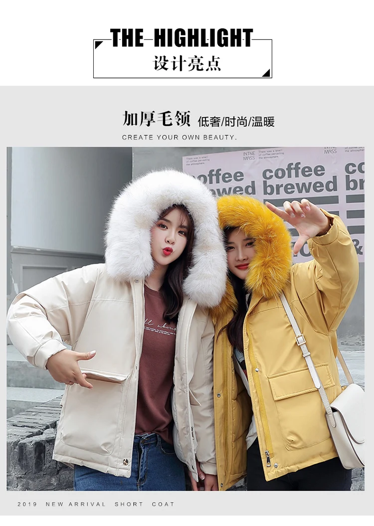 Photo Shoot Autumn And Winter New Style down Jacket Cotton-padded Clothes Women's Fashion Best Friend-Cotton-padded Clothes