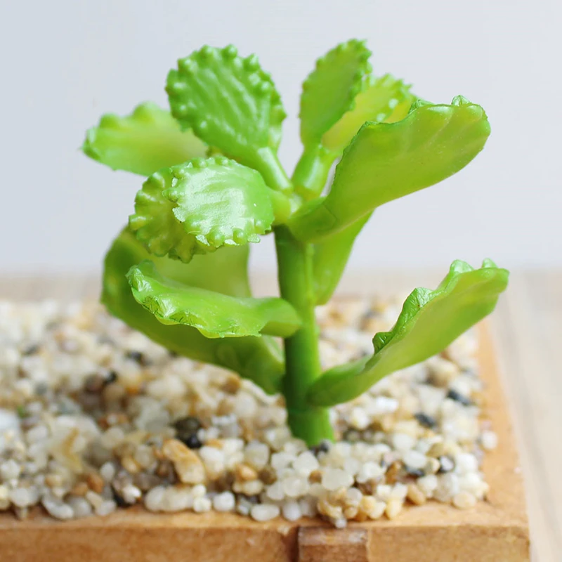 1xPlastic искусственное суккулентное растение лаконичный современный домашний офисный стол украшения товары для домашнего сада