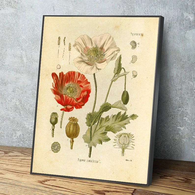 Vintage-Botanical-Prints-Wildflower-Prints-Posters-Plant-Illustrations-Wall-Art-Prints-Pictures-Kraft-paper.jpg_.webp_Q90.jpg_.webp_.webp (1)