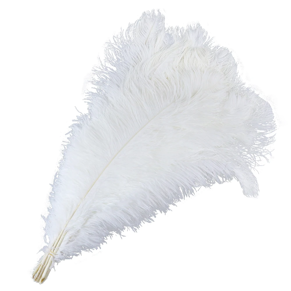 Wholasale Elegant White Ostrich Feathers for Crafts 15-75cm Wedding Party  Supplies Carnival Dancer Decoration plumas Plumages - Price history &  Review, AliExpress Seller - WyFeay Featers Lace Store