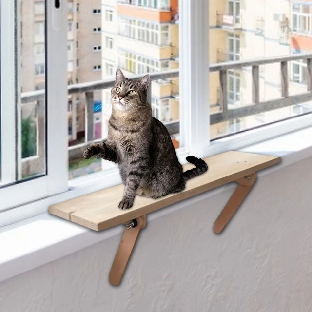 Cat Bench For Window informacionpublica.svet.gob.gt