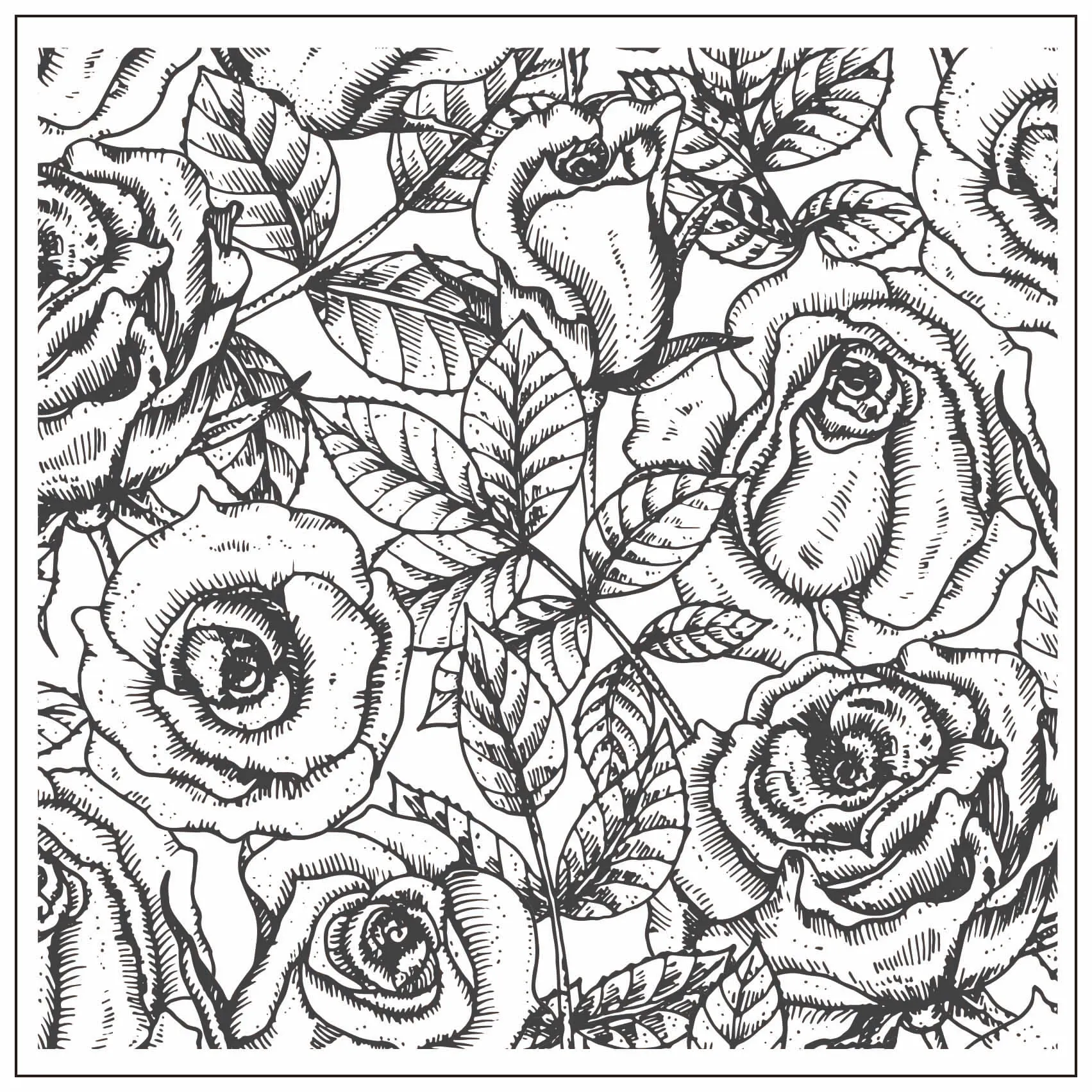 Прозрачный фон с изображением бутонов роз и цветов для скрапбукинга/создания