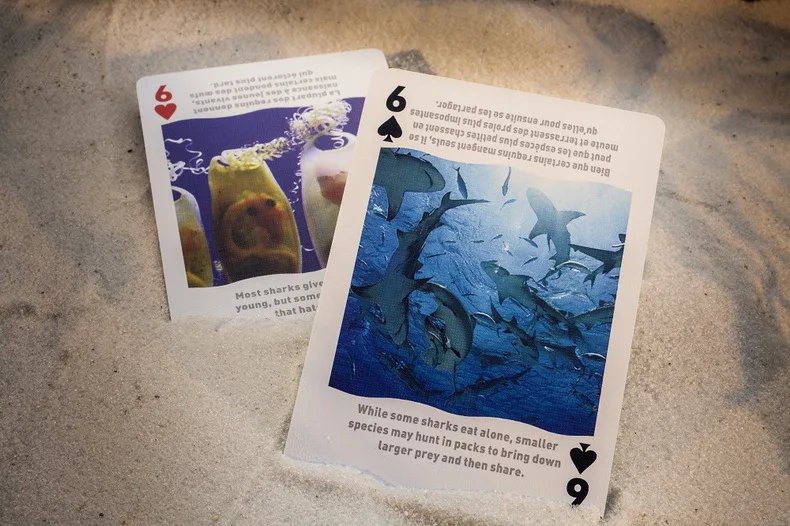 Bicycle Cards Sharks Playing Cards 1 deck Regular Bicycle Deck Rider Back Card Magic Trick Magic Props