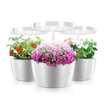 

LED growth flower lamps for office indoor hydroponic grow system