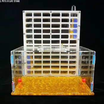 

Ant Workshop BIG Vertical nest moisture with feeding area ant nest ant farm acrylic insect ant nests pet advance for house ants