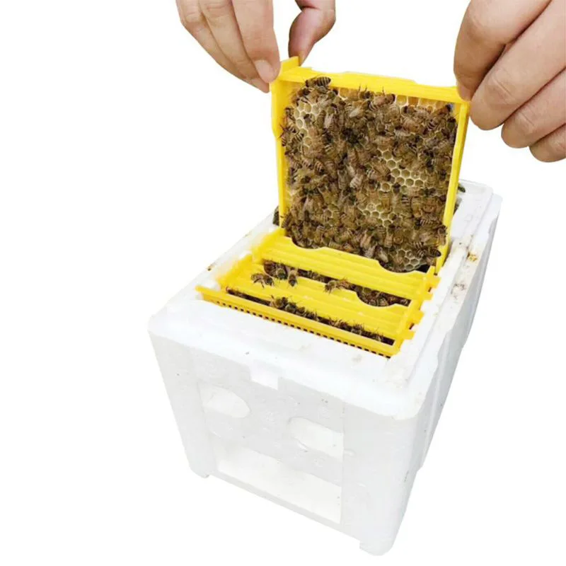 1 Set Queen Bee Rearing Mating Beehive Beekeeping Tools Foam Beehives Nuc Harvest Pollination BeesHive Box Beekeeper Suppliers beekeeping tools