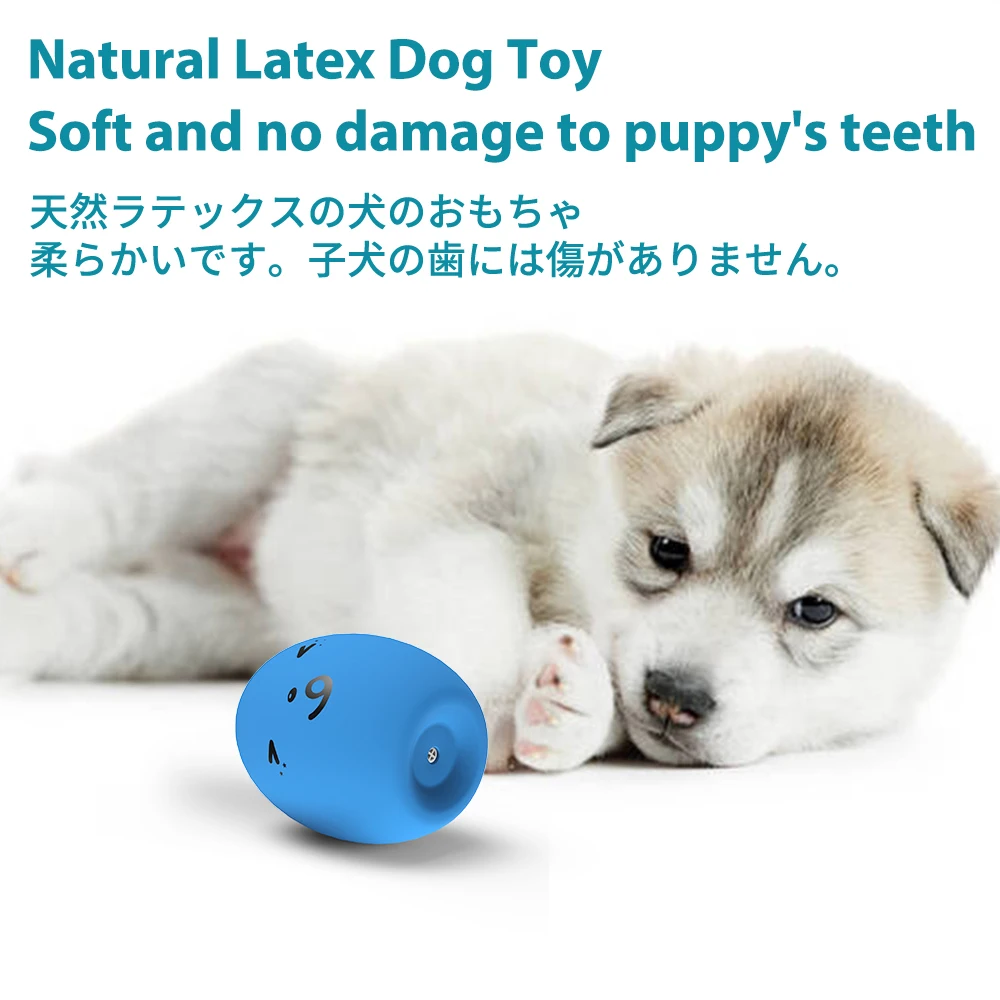 Aime Set 2 Palline Per Cani In Gomma Naturale - 5 Cm, Resistente E Sicuro Per Cuccioli E Adulti - Foto 6