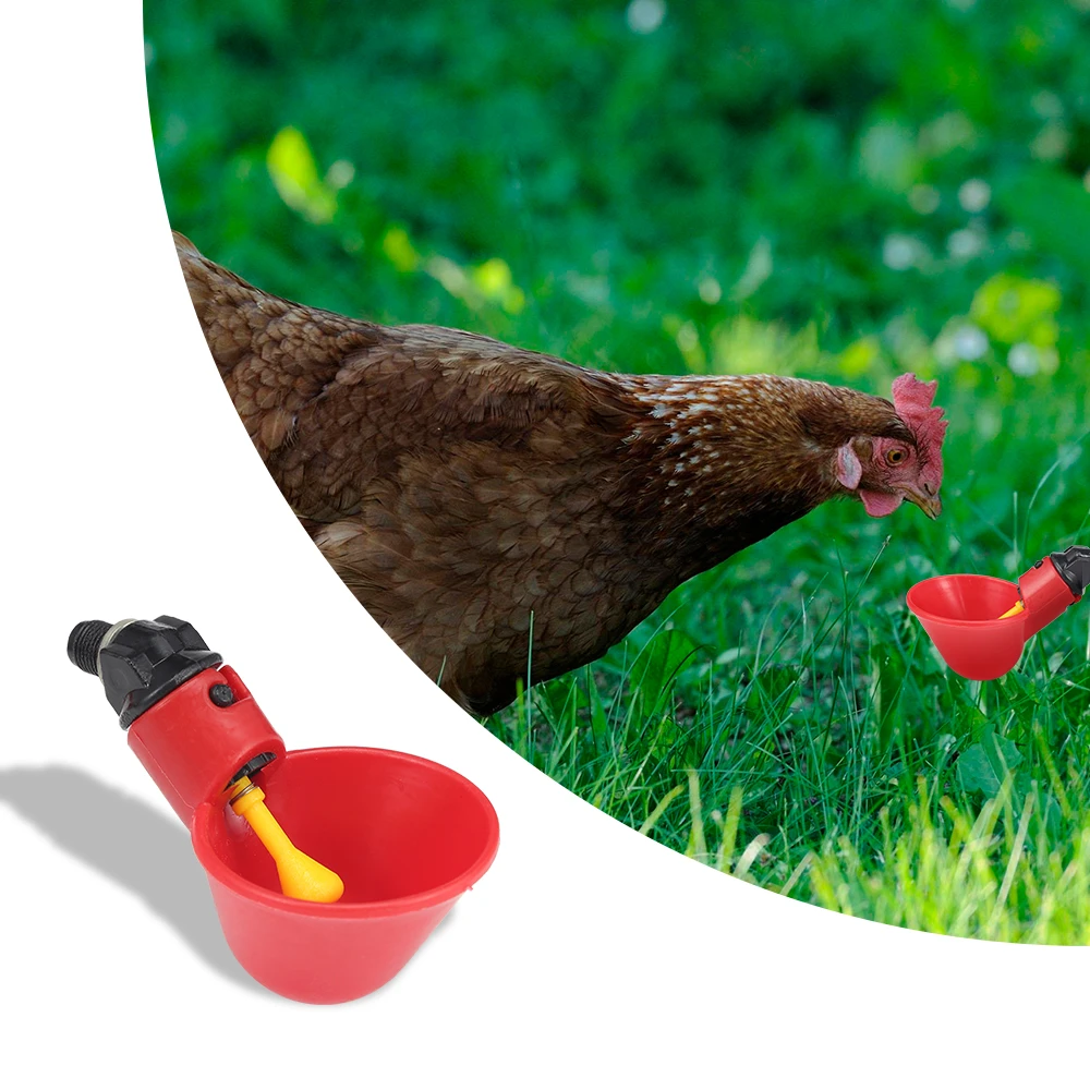 12 pièces abreuvoir automatique abreuvoir bol rouge tasses poulailler  volaille Chook oiseau dinde boisson Pigeon caille recharge