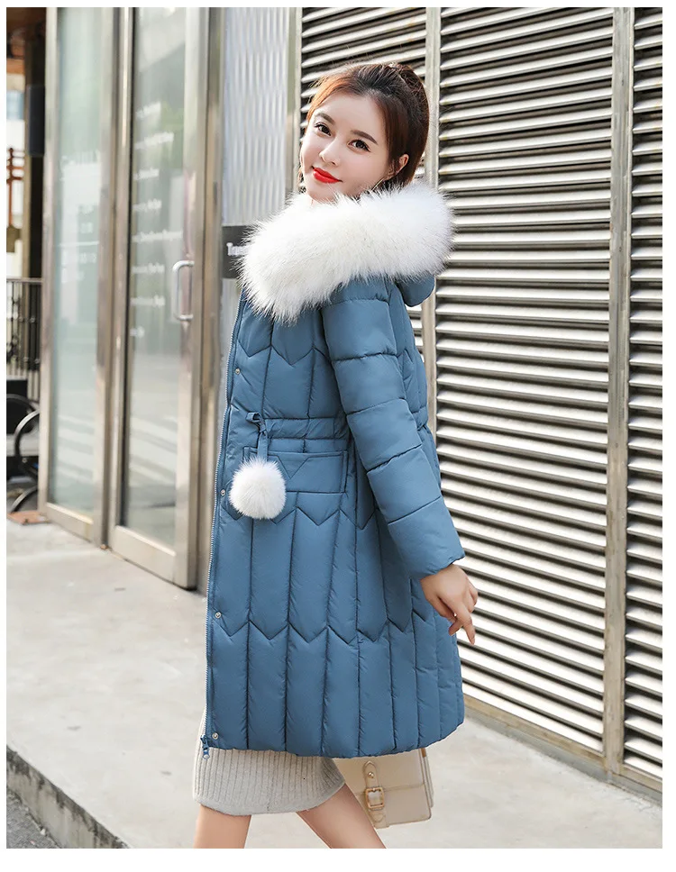 Cotton_18.jpg